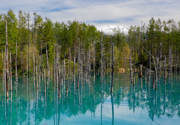 日本十大绝色景点,其中某些地方美到窒息插图7
