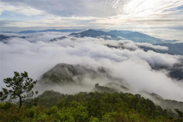浙江十大高峰排行榜：龙王山上榜，第一是黄茅尖插图6