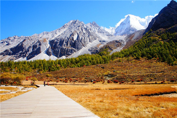 成都旅游必去的网红景点 宽窄巷子景观独特锦里历史建筑多插图4