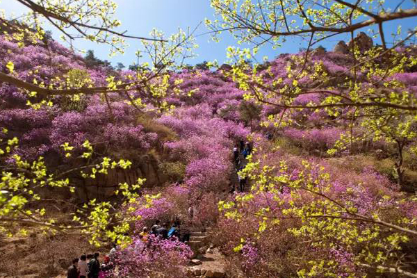 青岛十大爬山好去处排行榜 崂山 大泽山 大珠山风景区上榜插图2