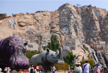 中国十大森林动物园 广州长隆野生动物园知名度高占地广|爱分享