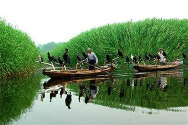 沧州十大热门游乐场排名：凯升游乐园上榜，第9激光秀插图6