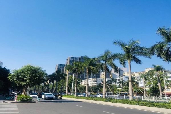 2020十大最便宜的旅游城市 哈尔滨上榜重庆旅游最便宜插图8