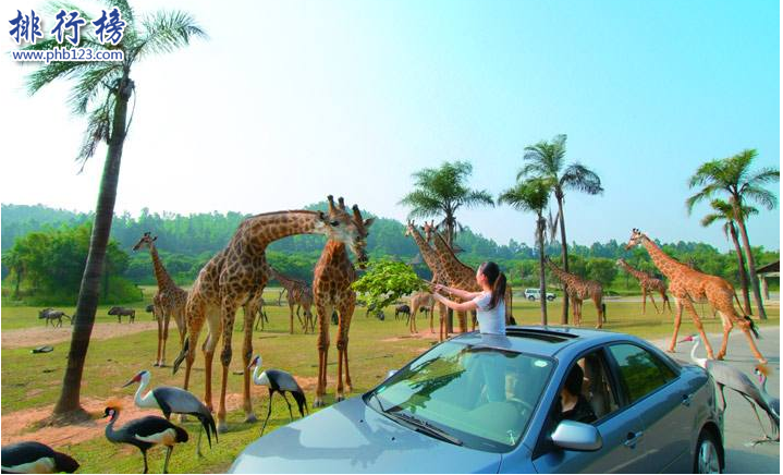 广州有什么好玩的地方？盘点广州适合情侣休闲的地方插图5