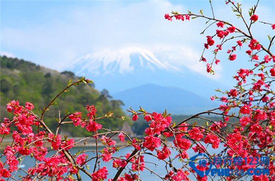十个最值得去的野生动植物国家公园排行榜插图5