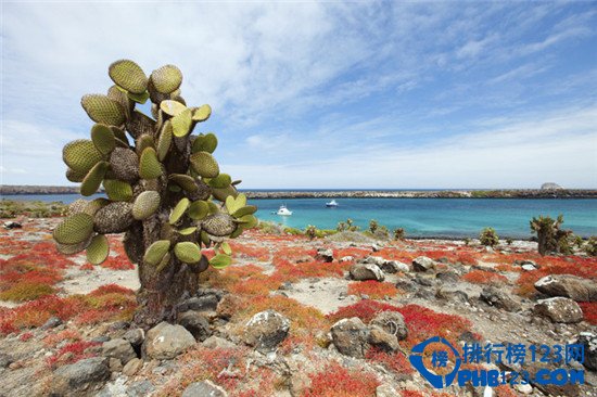 世界十大最美春色排行榜插图9