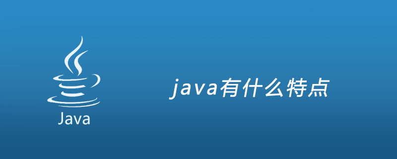 java有什么特点插图