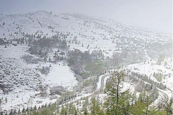 北京十大最佳观雪圣地 老胡同上榜,故宫雪景充满诗情画意插图3
