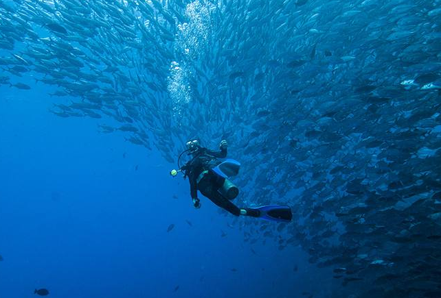 东南亚十大潜水圣地 风景绝美令人无法抗拒插图4