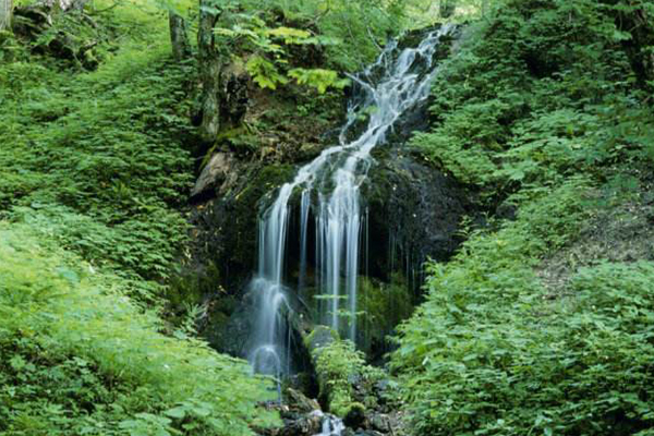 安徽十大最好玩的地方:翡翠谷上榜，每一处都令人流连忘返插图1