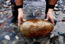 中国捡石十大圣地：太行山上榜，第四是著名魔鬼城|爱分享