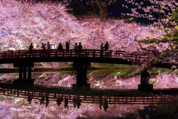 世界三大赏樱胜地：这里的樱花最为浪漫多情插图1