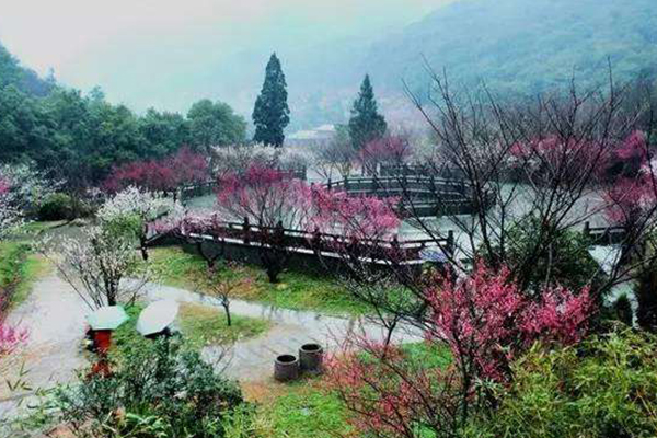 成都十大爬山好去处:花果山上榜 听说爬山和摘果子更配喔插图4