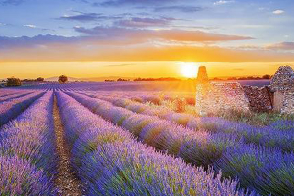 世界必去十大景点:长城上榜，这些景点你都去过吗？插图3