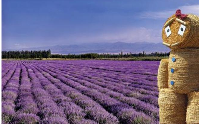 郑州十大情侣浪漫圣地 郑州适合情侣去的地方插图8