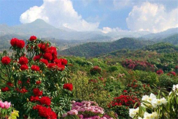 毕节有什么好玩的地方？盘点毕节好玩的地方排行榜插图