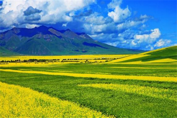 世界十大花海 最浪漫不过普罗旺斯薰衣草，一定要去插图7