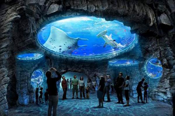 香港十大最好玩的地方：香港海洋公园上榜 第一名去香港必去插图1
