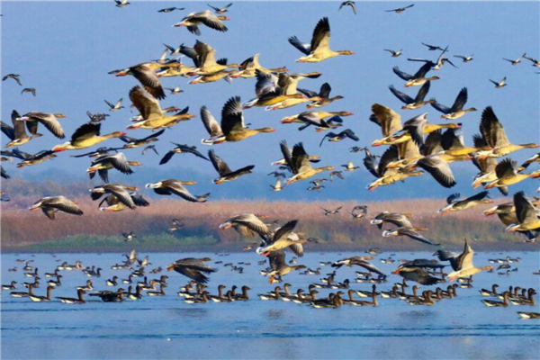 武汉适合拍照的小众景点前十名 台北院子上榜第1相当知名插图7