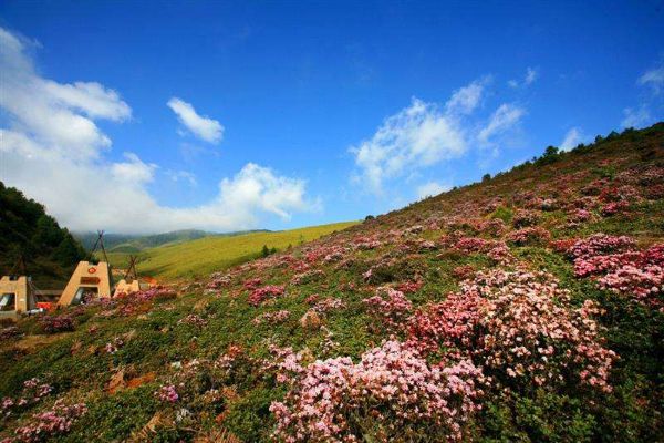 四季不冷不热的城市前十名 这些城市相当舒服适合旅游插图7