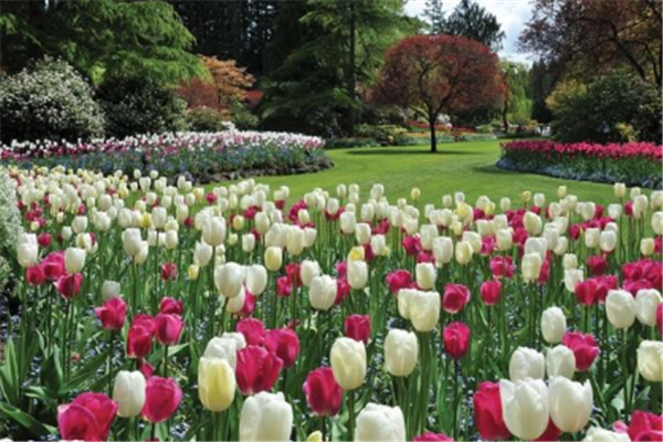 世界著名的十大花园：邱园第四，中国有一个上榜插图4