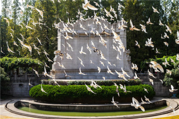 江苏抖音十大热门景点 第一是网红打卡地很受欢迎插图5