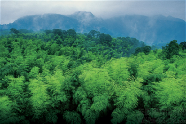 上海周边玩的地方排行榜 锦溪古镇你去过吗插图6