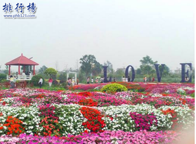 广州有什么好玩的地方？盘点广州适合情侣休闲的地方插图