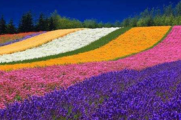 重庆抖音热门景点:鬼洞上榜，第一名集餐饮娱乐景观与一体插图5