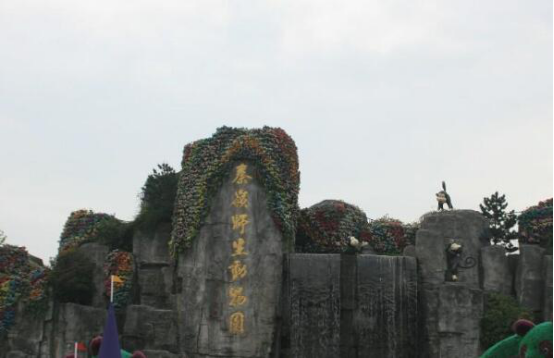 陕西十大旅游景点排名 大唐芙蓉园第三,第一是文化标志插图8