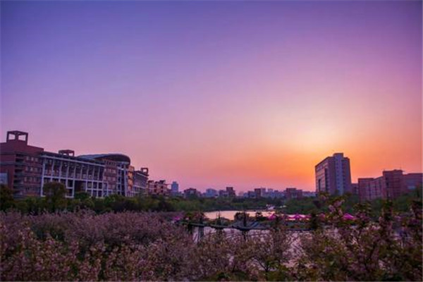 江门十大公园广场排名：釜山公园上榜，第四地方特色插图3