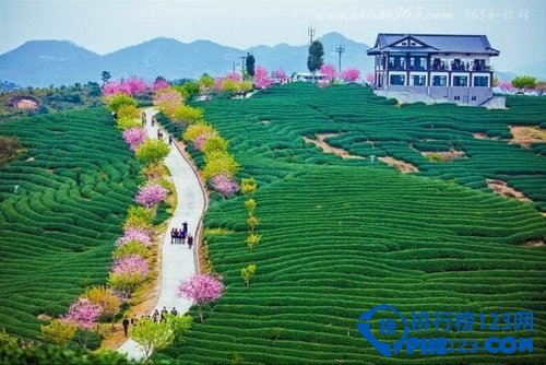 中国最美的十大长寿村排行榜 中国最有名的长寿村在哪里插图2