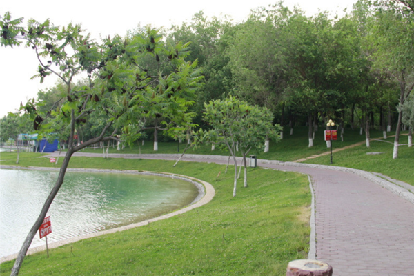 泉州十大公园排行榜：茶都广场上榜，文贞公园第八插图