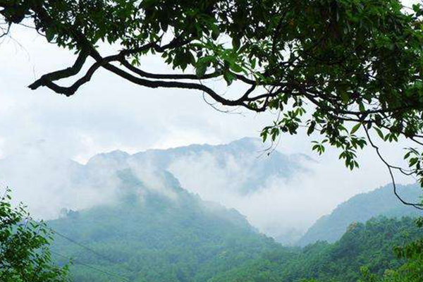 成都十大爬山好去处:花果山上榜 听说爬山和摘果子更配喔插图7