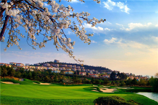 夏季云南避暑好去处 洱海气候宜人 大理景色秀丽插图7