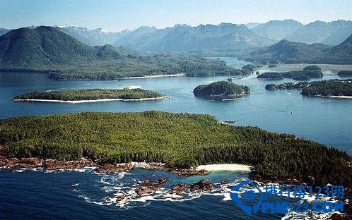 世界上最古老的十大原始森林排行榜插图