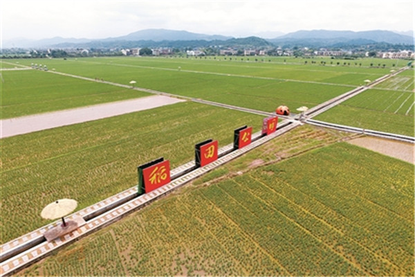 郴州十大公园广场排名：五岭广场上榜，第6展示桂阳风貌插图9