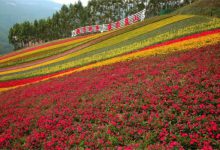 漳州4A景区排行榜 漳州国家4a旅游景区几个|爱分享