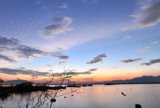 漳州旅游必去十大景点  看看人间仙境花花世界东南花都花博园插图6