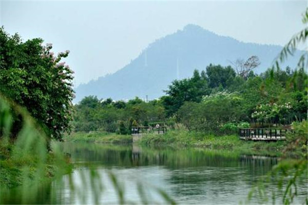 东莞十大公园广场排名:虎门公园上榜，第7大朗镇最大公园插图3