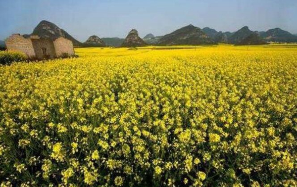 全球最美10个旅游胜地，人生必去的十大绝美景点推荐插图4