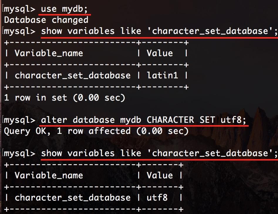 java插入mysql数据乱码解决方法插图2