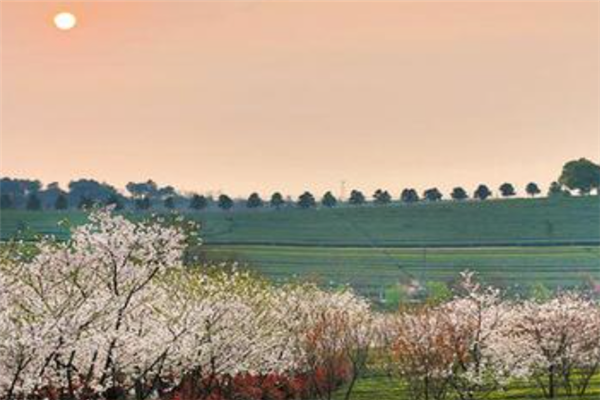 南昌十大最受好评景点：天香园上榜，第二是我国第一淡水湖插图3