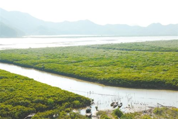 广东恩平十大最好玩的景点：锦江温泉上榜，第五是石头村插图7
