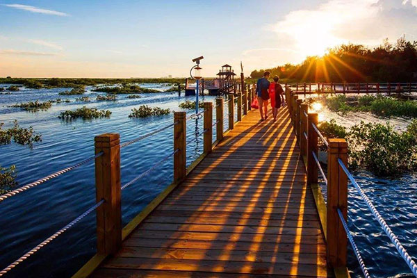 十大国内过年适合旅游的地方 罗平上榜 领略独特年味插图6