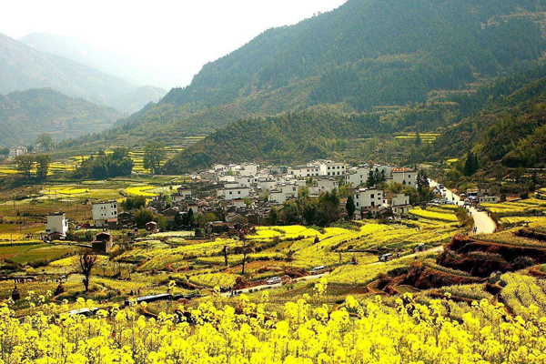 全球十大最美梯田排名：江西江岭梯田第一(中国7地入榜)插图