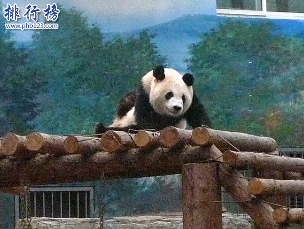 北京十大儿童地点：北京带孩子必去的地方推荐插图8