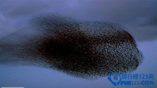 自然界最不可思议的十大奇景观排行榜插图4