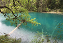 中国十大钙化景观：洗身洞上榜，第八是仙女沐浴之地|爱分享