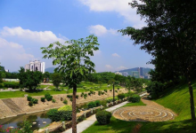 深圳什么地方好玩免费 盘点深圳十大免费景点|爱分享